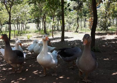 PHOTO 2022 06 11 21 38 30 3